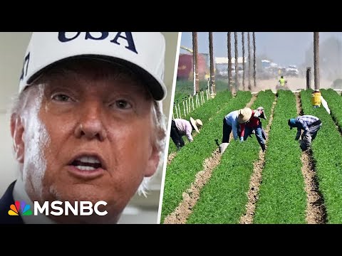 Soybean farmer slams Trump's Argentina bail out: 'How is this a good deal for me?'
