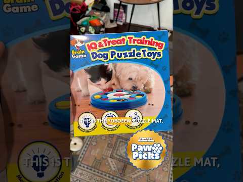 Paw Picks: Puzzle Mat | Perfect For Anxious Or Bored Dogs! #puppy #pets #dogtoy