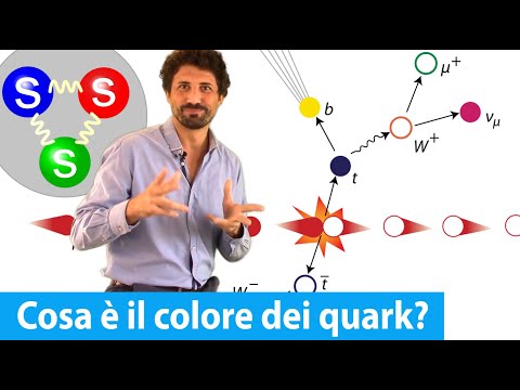 Come sappiamo che i QUARK hanno 3 COLORI e come cambiano colore ?