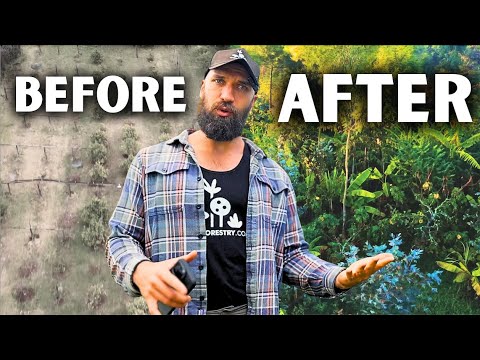 How I'd RE-DESIGN the Family Farm