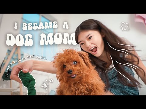 I became a dog mom🐶 48 hours with my new puppy | OUAT