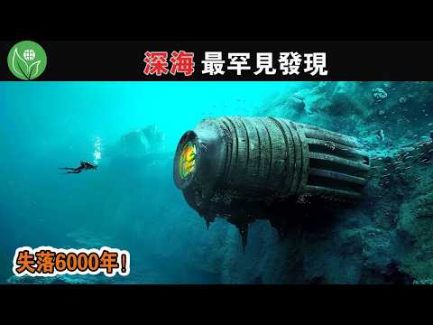 馬里亞納海溝拍攝的令人震驚的鏡頭揭露了汗毛聳立的真相！ 這20個最罕見的深海發現，一生難得見一次！ 【探索旅行號】#深海生物#深海寶藏#深海怪物