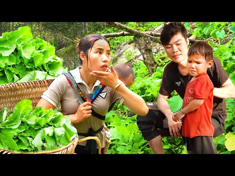 Harvest green vegetables to sell at the market - Boy's Father came to find him