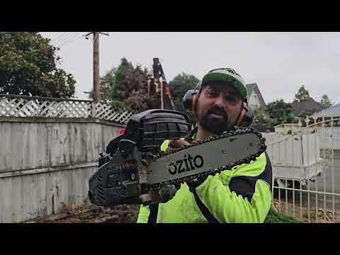 Cutting the TREE close to the HOUSE 🏡