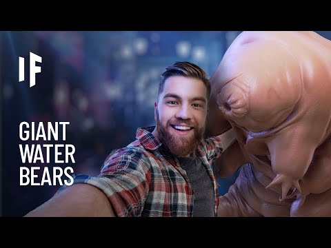 What If Tardigrades Were the Size of Humans?