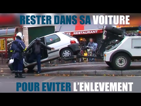 FOURRIÈRES, BUSINESS JUTEUX - Reportage complet - FULL HD