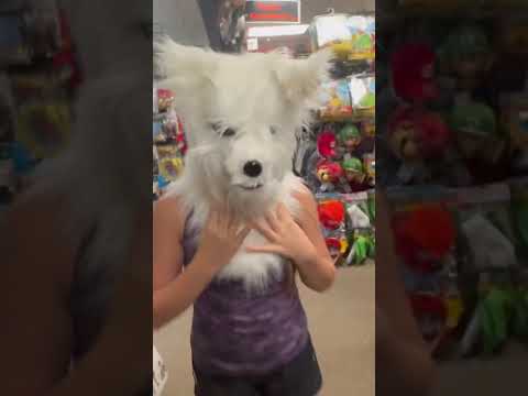 what dose the fox say