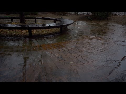 Rain Sounds for Sleeping 30 Minutes ASMR White Noise