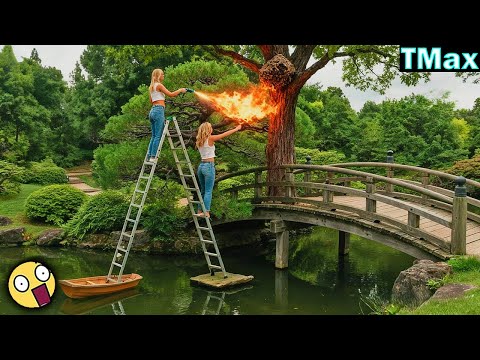 TOTAL IDIOTS AT WORK | Best Fails of November 2025 #201 | TRY NOT TO LAUGH CHALLENGE
