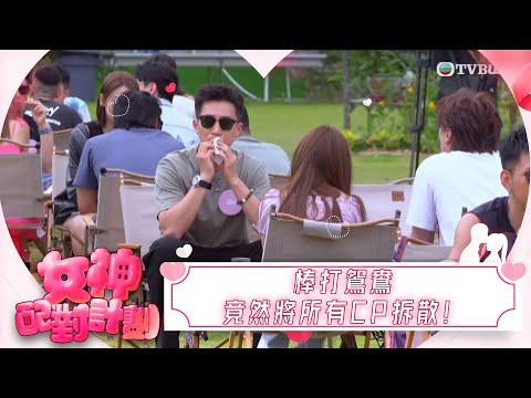 女神配對計劃｜棒打鴛鴦 竟然將所有CP拆散！｜女神配對計劃｜戀愛｜真人騷｜梁敏巧｜葉蒨文｜李芷晴｜關嘉敏｜羅毓儀｜林盛斌