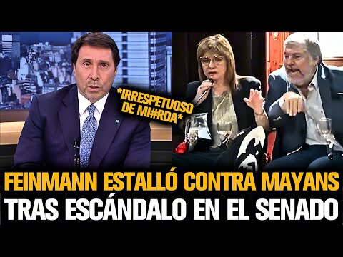 FEINMANN ESTALLÓ CONTRA MAYANS TRAS ESCÁNDALO EN EL SENADO