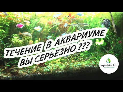 Течение  и фильтрация в аквариуме. Что общего?