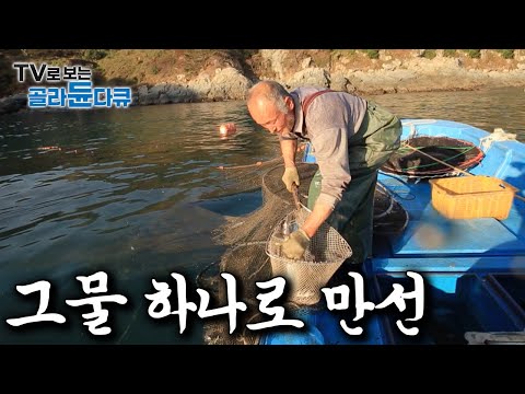 비싼 배와 낚시 장비는 필요도 없다｜그물 하나 걷어 올리자마자 만선 채우는 배들 모아보기｜한국기행｜#골라듄다큐