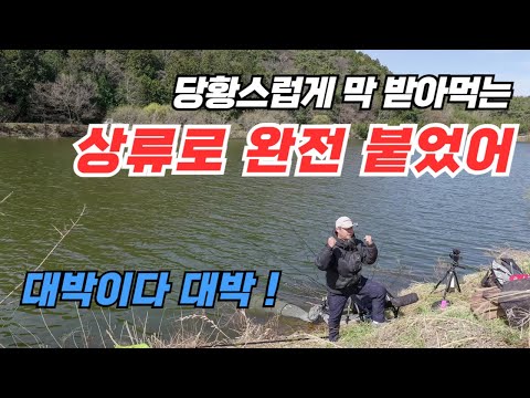 A huge school of carp came upstream, and I caught them right away.