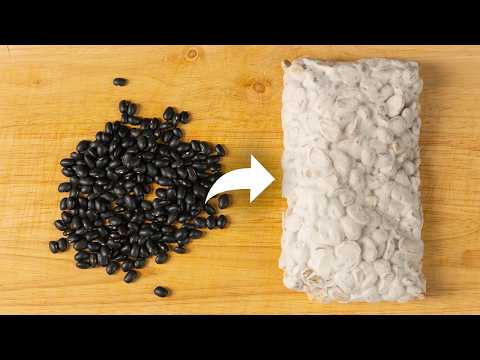 I Grew MOLD on Beans… to See If It Could Taste Like MEAT