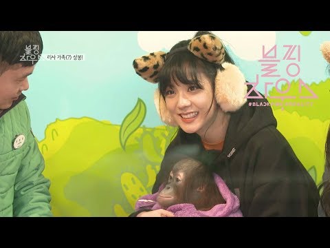 BLACKPINK - ‘블핑하우스 (BLACKPINK HOUSE)’ EP.6-3