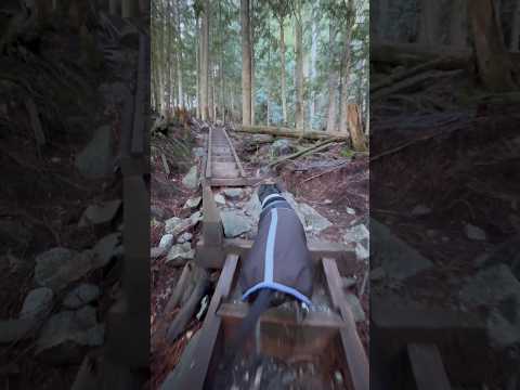 Hiking a water wonderland with the best boy.🐕🏔️🌲#bridalveilfalls #pnw #hikingadventure