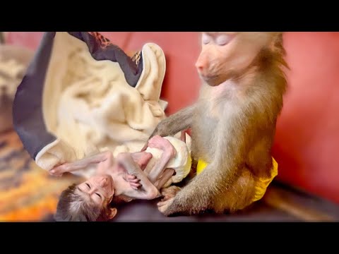 Люся не отдаёт Степашку даже на минуту-КАЖДЫЙ  РАЗ  ИСТЕРИКА!