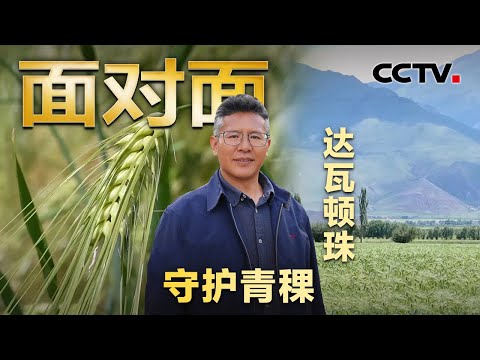 解码“西藏粮仓”秘密!4378个品种,每一个都是“救命基因” | CCTV「面对面」