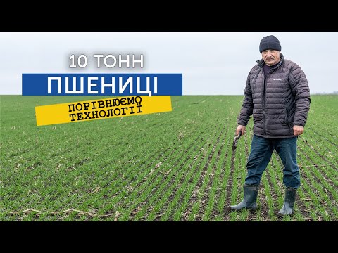 Як отримати врожай 100 ц/га пшениці? Порівнюємо сівалки та технології!