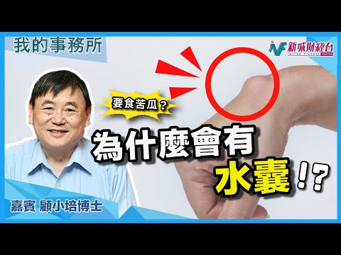 【我的事務所】肝, 腎, 乳腺, 甲狀, 卵巢, 子宮都有機會有水囊！？什麼健康食品可以預防/抑制？｜顧小培 劉婉芬