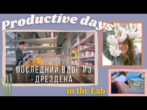 ЖИЗНЬ УЧЕНОГО / Рабочий день БИОЛОГА / Что ждет меня дальше?