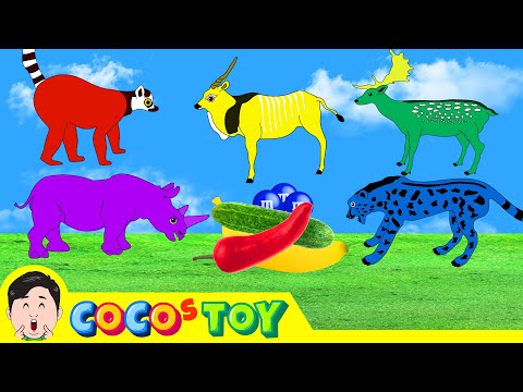 Colors for children to learn, red, blue, yellow, green, purple, animals animationㅣCoCosToy