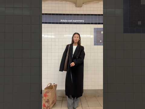 Aritzia coat supremacy