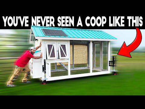 Everyone Will Be Building Chicken Coops Like This Now