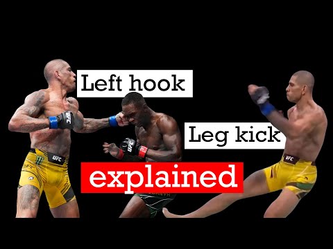 Biomechanics of Alex's Left hook and leg kick explained.