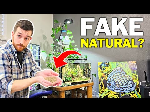 Are Natural Aquariums REALLY That Natural??