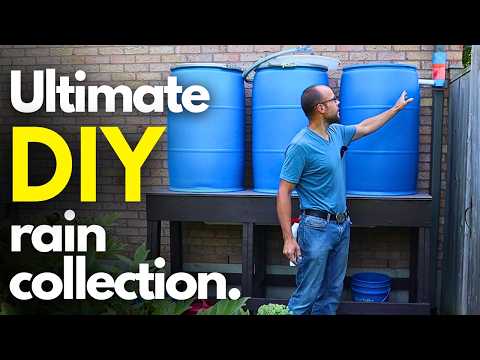 Make your own ULTIMATE DIY rain water collection system at home on a budget