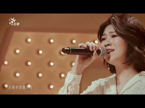 曹雅雯 情字這條路/純情青春夢/桂花巷/青蚵仔嫂