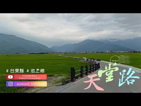 20251128 | 東台灣壯遊日誌 |來自家鄉的明信片Postcard From Hometown| 春耕新氣象 稻香好味道 | 台東縣  池上鄉 |