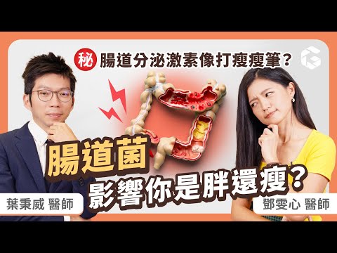 腸道菌影響你是胖還瘦？腸道分泌某激素就像打瘦瘦筆？研究發現：瘦子腸道藏這關鍵！feat.葉秉威醫師｜初日診所鄧雯心醫師 (內有顧腸胃食物圖鑑免費送！常見腸胃道問題 腸腦軸 腸道影響情緒)
