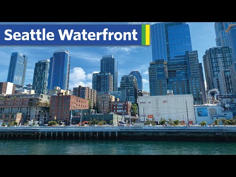 What happens after a city removes a freeway?