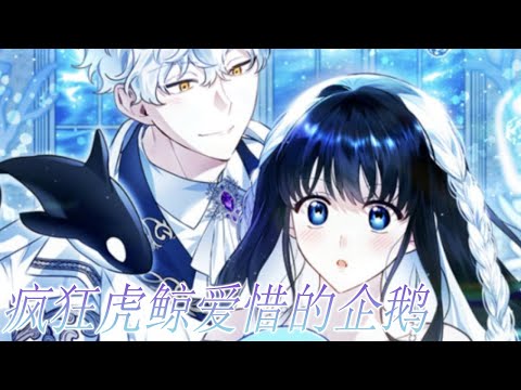 更新啦🔔🔔《疯狂虎鲸爱惜的企鹅》第1-14话 重生成一只企鹅，却意外被身为天敌的虎鲸盯上！#漫画解说 #漫画 #元气动画