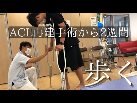 【ACL日記】手術後２週間。初めての歩行練習。【前十字靭帯断裂】