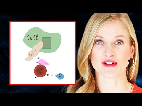 Understanding INSULIN RESISTANCE & How It Slowly DESTROYS Your Health | Dr. Mogan Nolte