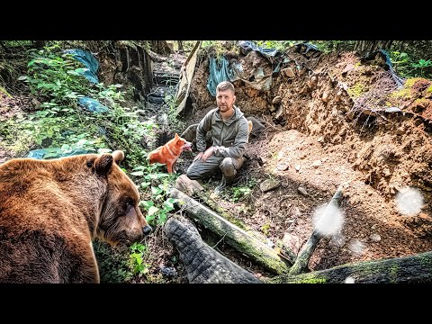 AMONG BEARS | DESTROYED DUGOUT IN THE DEEP TAIGA 🐻🌲 WHO STOLE THE CAMERA TRAP? ON A HIKING THROUG...