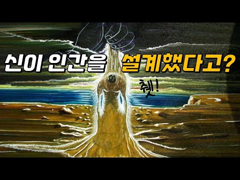 신이 만들었다기엔 너무 엉망으로 설계된 인체! (ft.실패한 진화?)
