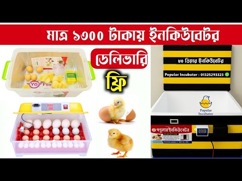 মাত্র ১৩৫০ টাকায় ভালো কোয়ালিটি হাসঁ মুরগির ডিম ফোটানোর মেশিন কিনুন | Incubator price in Bangladesh 