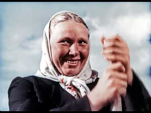 Улучшение лугов и пастбищ, 1952