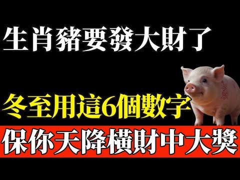 生肖豬要發大財，12月21號冬至用這6個數字，保你天降橫財中大獎！【般若之音】#生肖 #運勢 #風水 #財運#命理