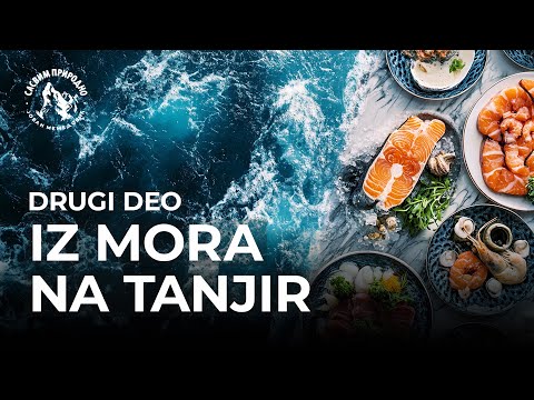 SASVIM PRIRODNO: Iz mora na tanjir 2. deo