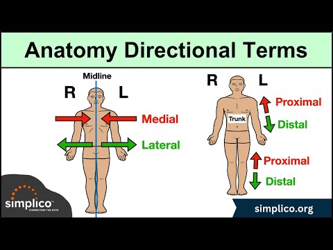Anatomical Position and Directional Terms [Anatomy MADE EASY]