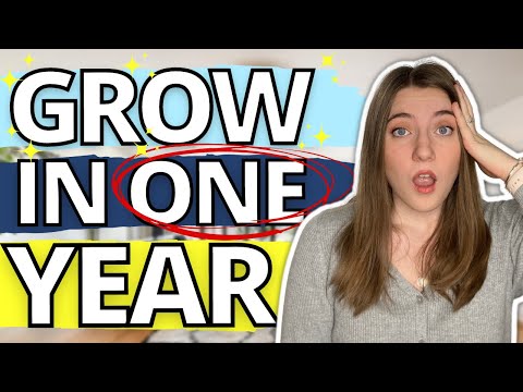 THE BEST STRATEGY TO GROW YOUR PRINT ON DEMAND BUSINESS: Amazon Merch, Etsy, Redbubble Beginner Tips