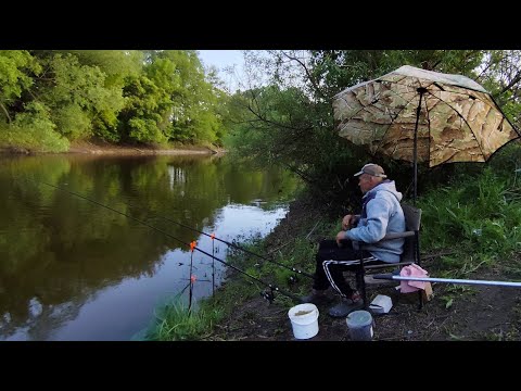 ALL THE BIG FISH WERE CATCHED ON THE FOREST RIVER.FEEDER FISHING