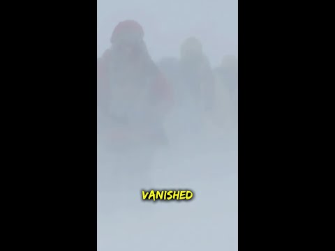 The Friend Who Would Not Walk Away