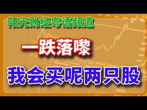 粵語：一跌落嚟，我会买呢两只股